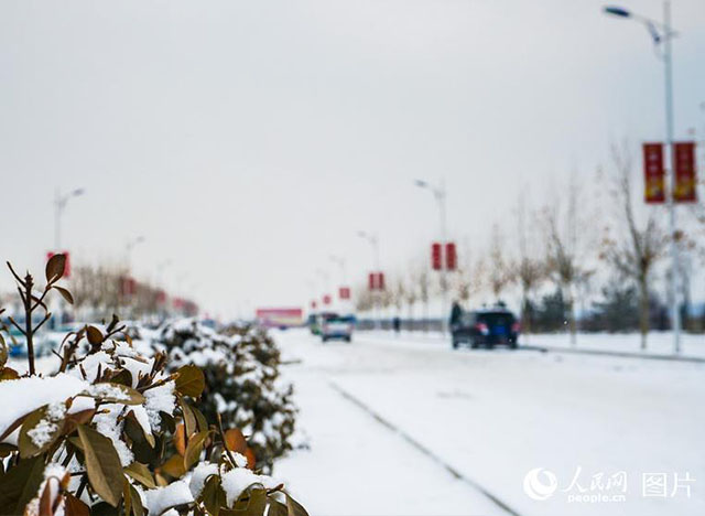 疑是林花昨夜開！雄安迎來2018年第一場雪