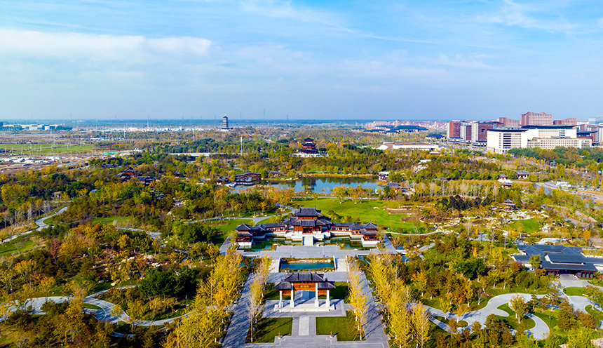 在雄安悅容公園，遇見冬季色彩